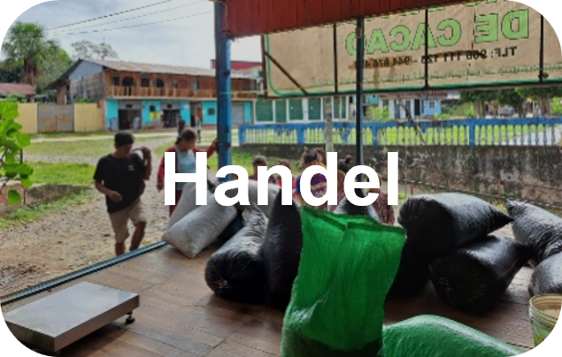 Directe cacao handel