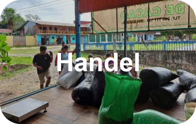 Directe cacao handel