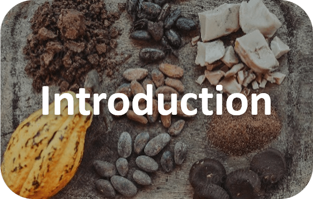 An introduction to the benefits of cacao