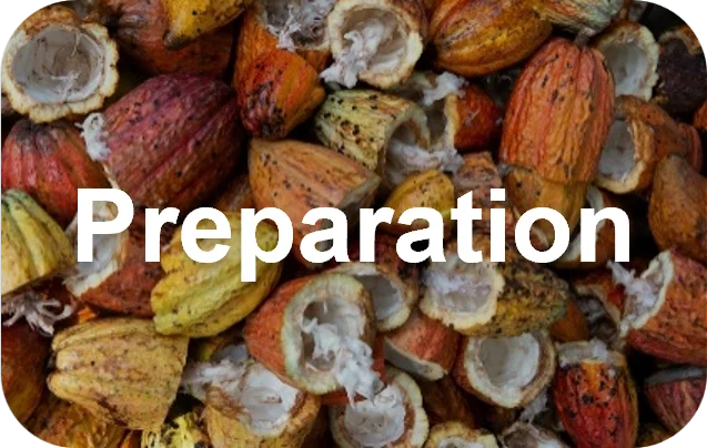 Fueling You - Cacao Preparation