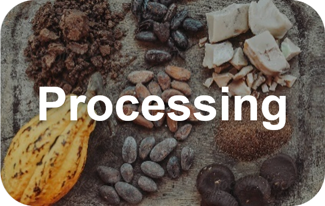 Fueling You - Cacao processing