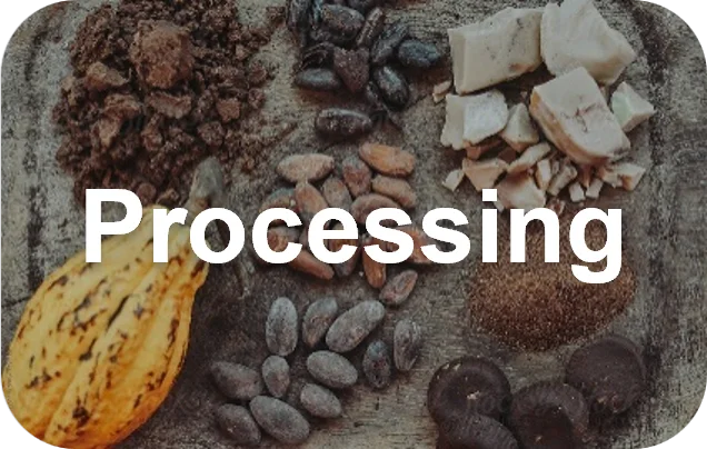 Fueling You - Cacao processing