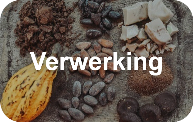 Cacao verwerking