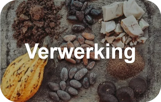 Cacao verwerking