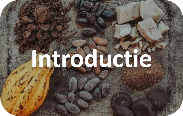 Een introductie naar de voordelen van cacao